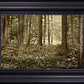 Sacred Grove