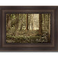 Sacred Grove