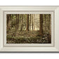 Sacred Grove