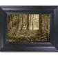 Sacred Grove
