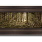 Sacred Grove