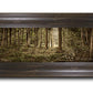 Sacred Grove
