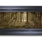 Sacred Grove