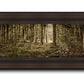Sacred Grove