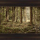 Sacred Grove