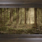 Sacred Grove