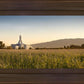 Mt Timp Harvest