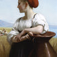 The Harvester