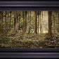 Sacred Grove