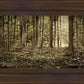 Sacred Grove