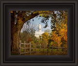 Nauvoo Young Street Farm