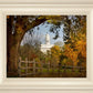 Nauvoo Young Street Farm