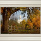 Nauvoo Young Street Farm