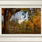 Nauvoo Young Street Farm