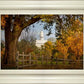 Nauvoo Young Street Farm