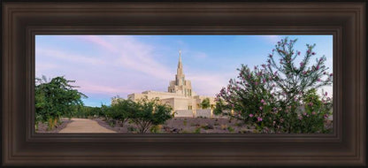 Phoenix Desert Blossom