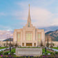 Ogden rebirth