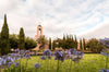 Newport Beach Temple Blooming Afternoon