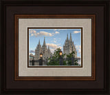 Salt Lake City Temple Welcome to the Temple