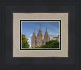 Salt Lake City Utah Temple In His Light