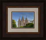 Salt Lake City Utah Temple In His Light