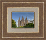 Salt Lake City Utah Temple In His Light