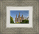 Salt Lake City Utah Temple In His Light