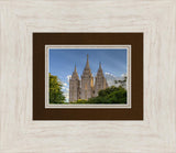 Salt Lake City Utah Temple In His Light