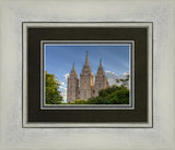 Salt Lake City Utah Temple In His Light