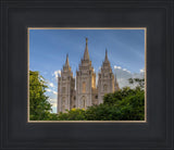 Salt Lake City Utah Temple In His Light