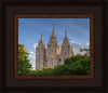 Salt Lake City Utah Temple In His Light