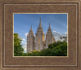 Salt Lake City Utah Temple In His Light