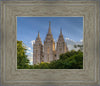 Salt Lake City Utah Temple In His Light