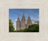 Salt Lake City Utah Temple In His Light