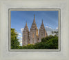 Salt Lake City Utah Temple In His Light