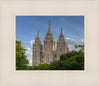 Salt Lake City Utah Temple In His Light