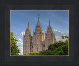 Salt Lake City Utah Temple In His Light