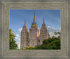 Salt Lake City Utah Temple In His Light