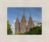 Salt Lake City Utah Temple In His Light