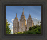 Salt Lake City Utah Temple In His Light