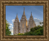 Salt Lake City Utah Temple In His Light