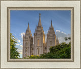 Salt Lake City Utah Temple In His Light