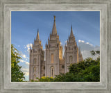 Salt Lake City Utah Temple In His Light