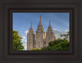 Salt Lake City Utah Temple In His Light