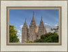 Salt Lake City Utah Temple In His Light