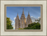 Salt Lake City Utah Temple In His Light