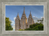 Salt Lake City Utah Temple In His Light