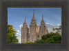 Salt Lake City Utah Temple In His Light