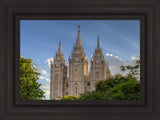 Salt Lake City Utah Temple In His Light