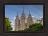 Salt Lake City Utah Temple In His Light